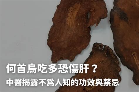 何首烏藥膳功效|何首烏什麼人不能吃？養生補品何首烏的功效與副作用 – 樂語雅閣